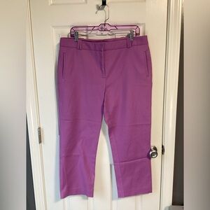 Purple Charter Club capri pants-size 14